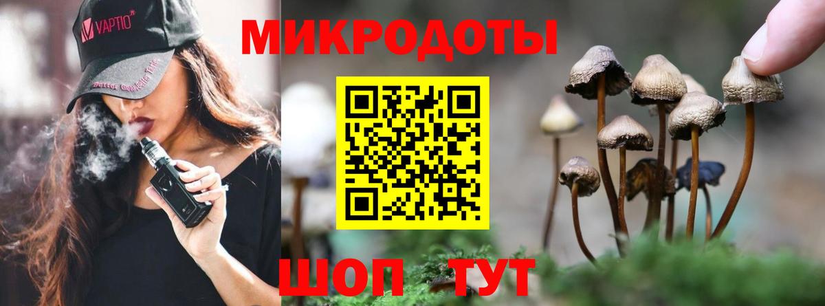 Луга  Псилоцибиновые грибы ЛСД  Вход с VPN 