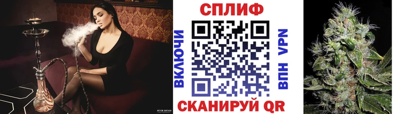 купить   Луга  Бошки Шишки семена 
